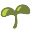 🌱 🌱